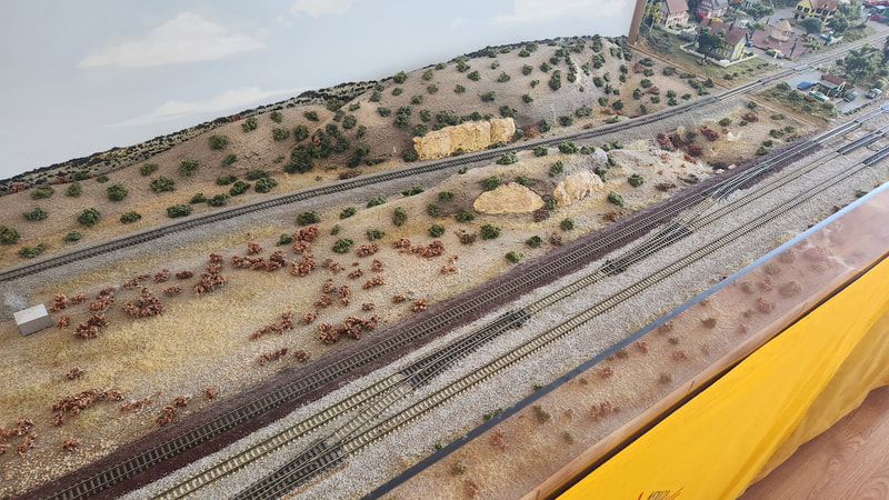 New Mexico Railrunners layout photo